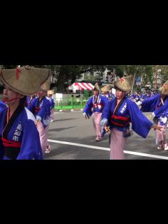 [x]高知市役所踊り子隊 第66回よさこい祭り - YouTube