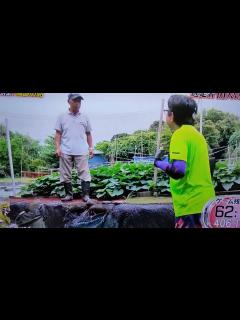 [x]逃走中 おいでやす小田 面白確保シーン - YouTube