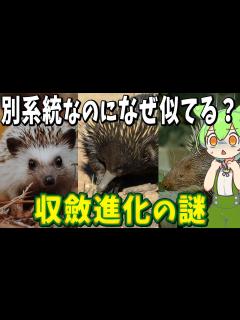 [x]生物の収斂進化の謎！「全ての生物はやがて蟹になる」奇妙な進化論【ずんだもん解説】 - YouTube