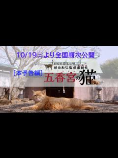 [x]『五香宮の猫』（想田和弘監督）本予告編 - YouTube