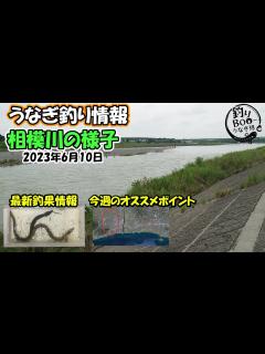 [x]うなぎ釣り情報。相模川の様子。最新釣果情報と今週のオススメポイント。 - YouTube