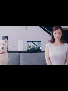 [x]上戸彩・白戸家お父さんが的場浩司と初共演 “浩司がいらない” 「SoftBank Air」WEB動画『工事がいらない』篇 - YouTube