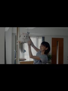 [x]安達祐実×倉科カナ×渡邊圭祐 主演 映画『三日月とネコ』本編映像 - YouTube