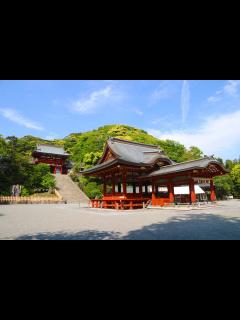 [x]鶴岡八幡宮 ｜神社情報｜あまはし