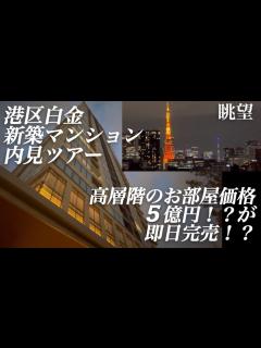 [x]港区白金/新築タワーマンション/高層階の価格5億円！？#絶景#眺望#タワマン高層階＃セレブ#港区#芸能人マンション#タワーマンション#新築 ...