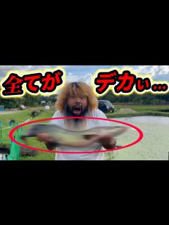 [x]巨大養魚場の生体の種類に驚き!!大注目､日本初の繁殖も...!? - YouTube