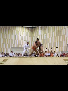 [x]2018/08/05 高校総体 相撲 団体決勝戦 埼玉栄-鳥取城北 - YouTube