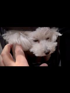 [x]気付くのが遅くて手術することになるかもしれません - YouTube