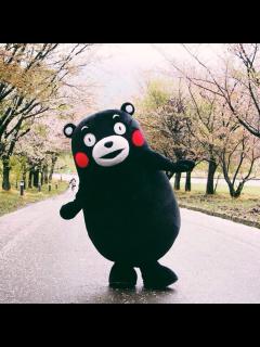 [x]日本九州行之熊本县: 你不知道的熊本熊