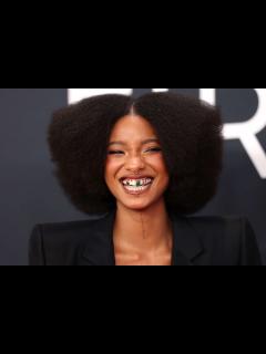 [x]Jaden Smith Wears a Castle to Walk Red Carpet with Sister Willow at ...