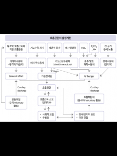 [x]호흡곤란 원인, 과호흡 증상과 응급처치법 - YouTube
