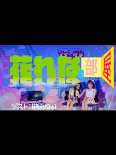 [x]花れなの部屋(Hana&reina's Room) - Opening Talk ゲスト：榊原ねね / 東京アイドル劇場（アイゲキ ...