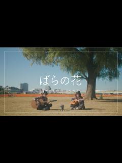 [x]ばらの花（くるり cover）／ぎがもえか×クララズ - YouTube