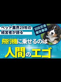 [x]村上佳菜子、ペットと乗れる飛行機を作って欲しい… #shorts - YouTube