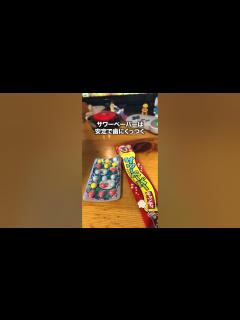 [x]駄菓子食べ放題デートスポット行ってきた #shorts - YouTube