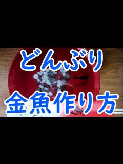 [x]”2020年度版”百均で【どんぶり金魚】 - YouTube