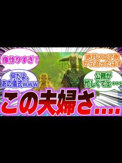 [x]【ゼルダの伝説ティアキン】ラウルとソニアというおしどり夫婦！に対して「この夫婦さぁ…」「その周りもなぁ…」と色んな意味で感慨に浸るみんなの反応 ...