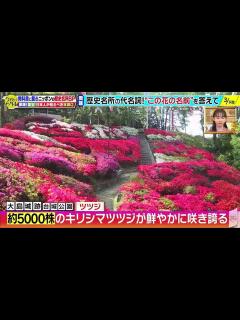 [x]今夜はナゾトレ 2023年1月31日 新レギュラー戸次重幸加入！日本の歴史名所SP part 1/1 - 動画 Dailymotion