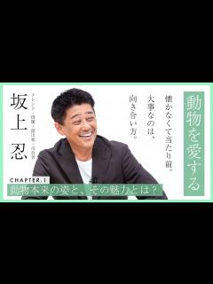 [x]【保護犬猫の魅力】坂上忍が考える、動物本来の姿【教えてドクター】 - YouTube