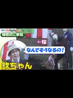 [x]桜が満開になったら「見事な欽ちゃんだね！」と叫んで欲しい - YouTube