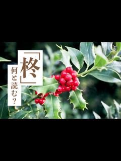 [x]クリスマス飾りに☆柊（ひいらぎ）の葉の折り方[Origami]Hiiragi 冬のおりがみ - YouTube