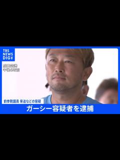 [x]ガーシー容疑者を逮捕 警視庁本部に連行して本格的な取り調べ開始 UAE当局が「事実上の強制送還」｜TBS NEWS DIG - YouTube