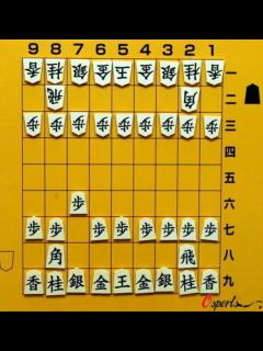 [x]将棋规则详解大全（日本将棋的游戏介绍及简单规则） | 说明书网