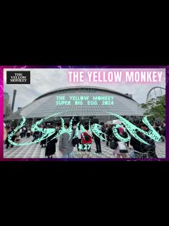 [x]ザ・イエロー・モンキー 東京ドーム2024 雰囲気 THE YELLOW MONKEY 2024 #東京ドーム ...