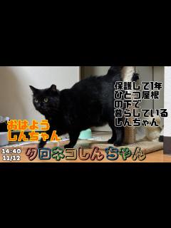 [x]ひとつ屋根の下に暮らす様になって1年と8ヶ月 14:49 1/13 - YouTube