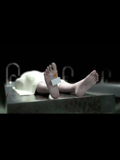 [x]「Cadaver, Dead Male Body in」の動画素材（ロイヤリティフリー）23565265 | Shutterstock