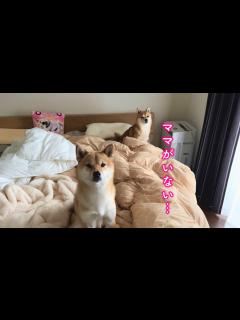 [x]起きたら大好きなママがいなくなってました… - YouTube