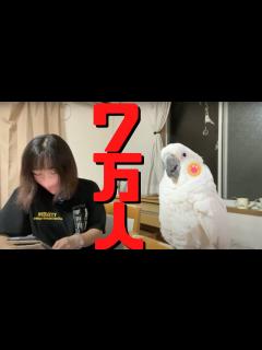 [x]登録者数70000人突破記念ライブ - YouTube