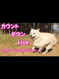 [x]カウントダウンLive 12月31日23時30分〜 - YouTube