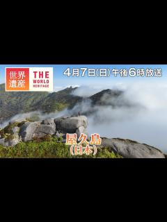 [x]【TBS世界遺産】鈴木亮平が行く！“洋上のアルプス”～屋久島 【4月7日午後6時放送】 - YouTube