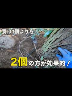[x]くくり罠を仕掛ける時は1つよりも2つの方が効果的です！ - YouTube
